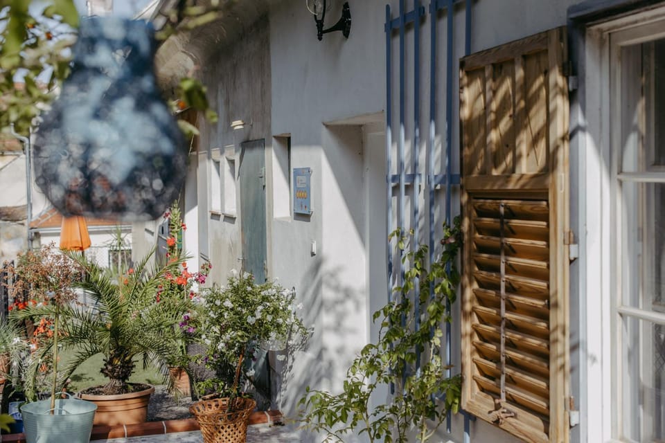 Property building, Garden, Garden view