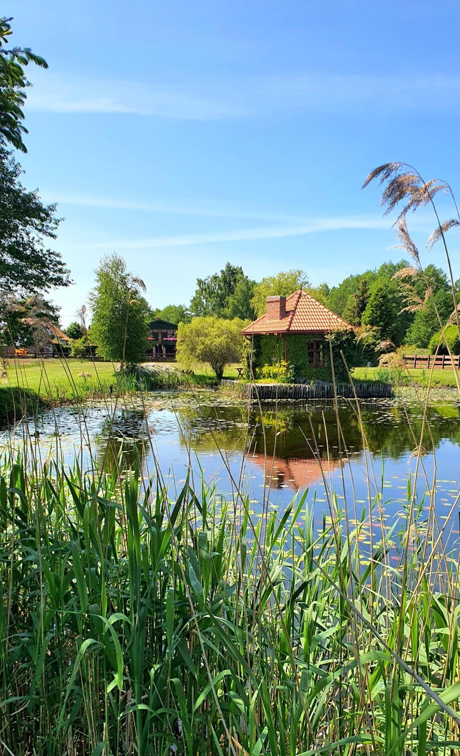 Lisia Góra II nad jeziorem Łebsko Apartment in Pomeranian Voivodeship