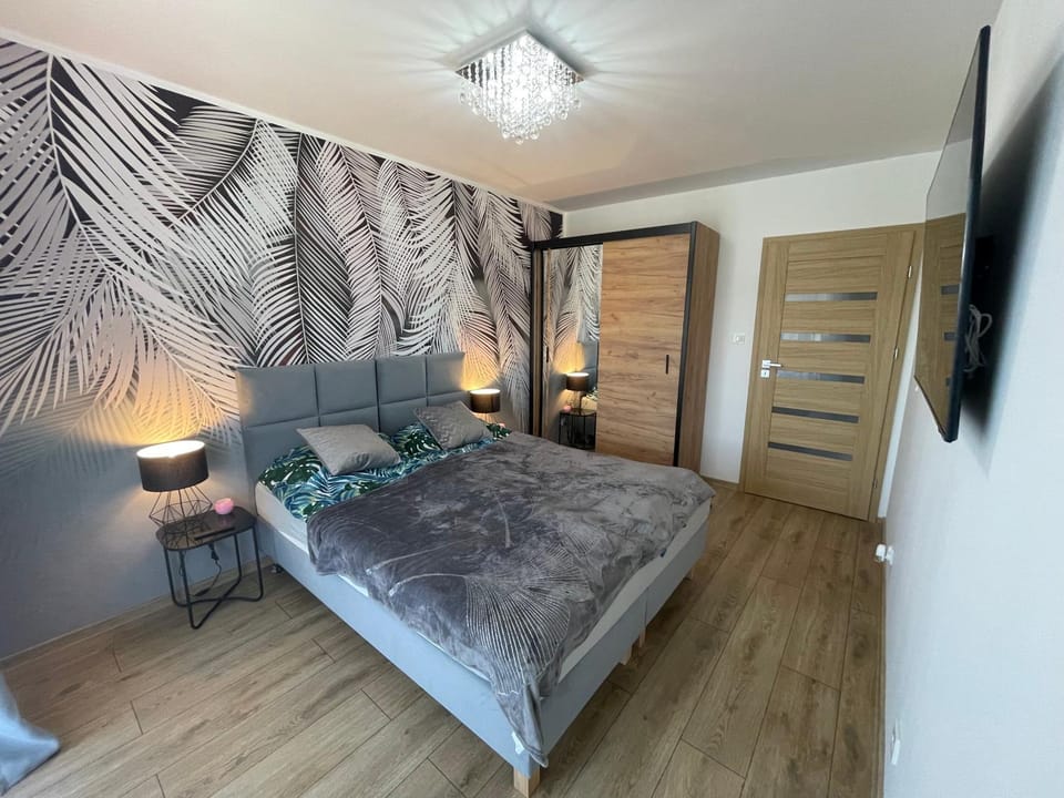 Bed, TV and multimedia, Photo of the whole room, Bedroom, wardrobe