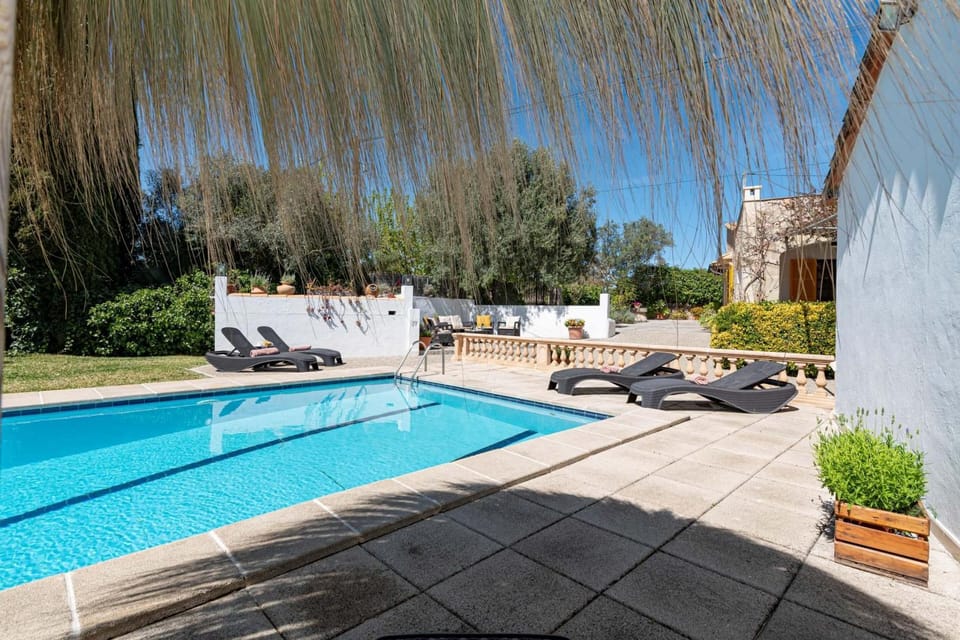 Patio, Garden, Other, Garden view, Pool view, Swimming pool, sunbed