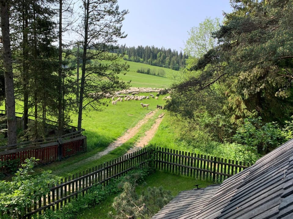 Natural landscape