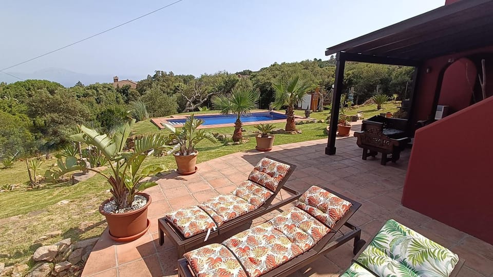 Garden view, sunbed