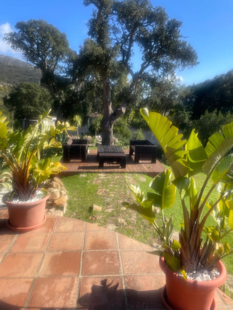 Garden view