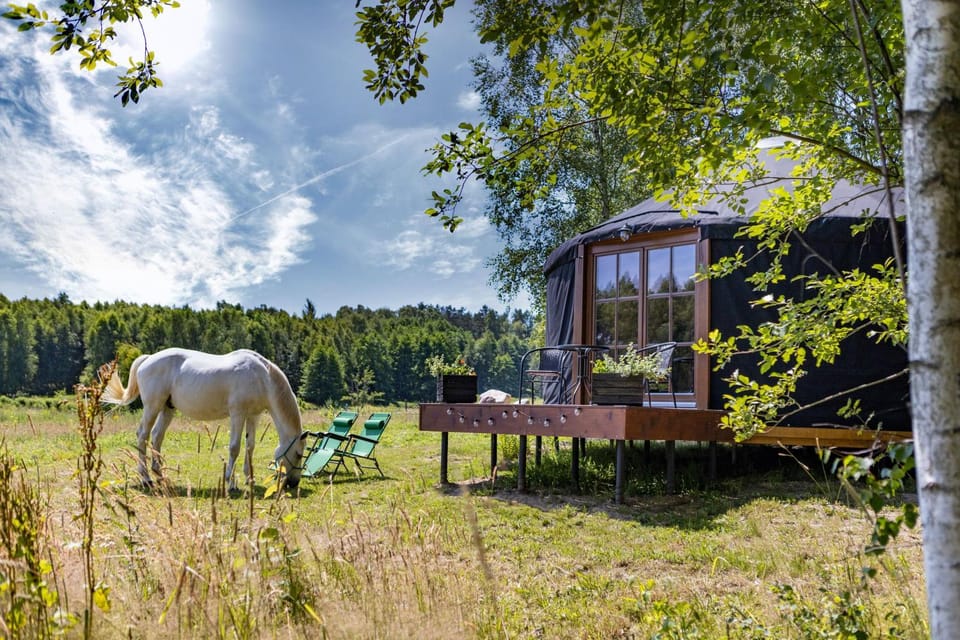 Property building, Horse-riding, View (from property/room), Animals, Pets