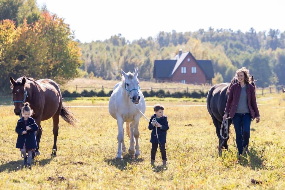 Day, People, Natural landscape, Horse-riding, Animals, children, Family