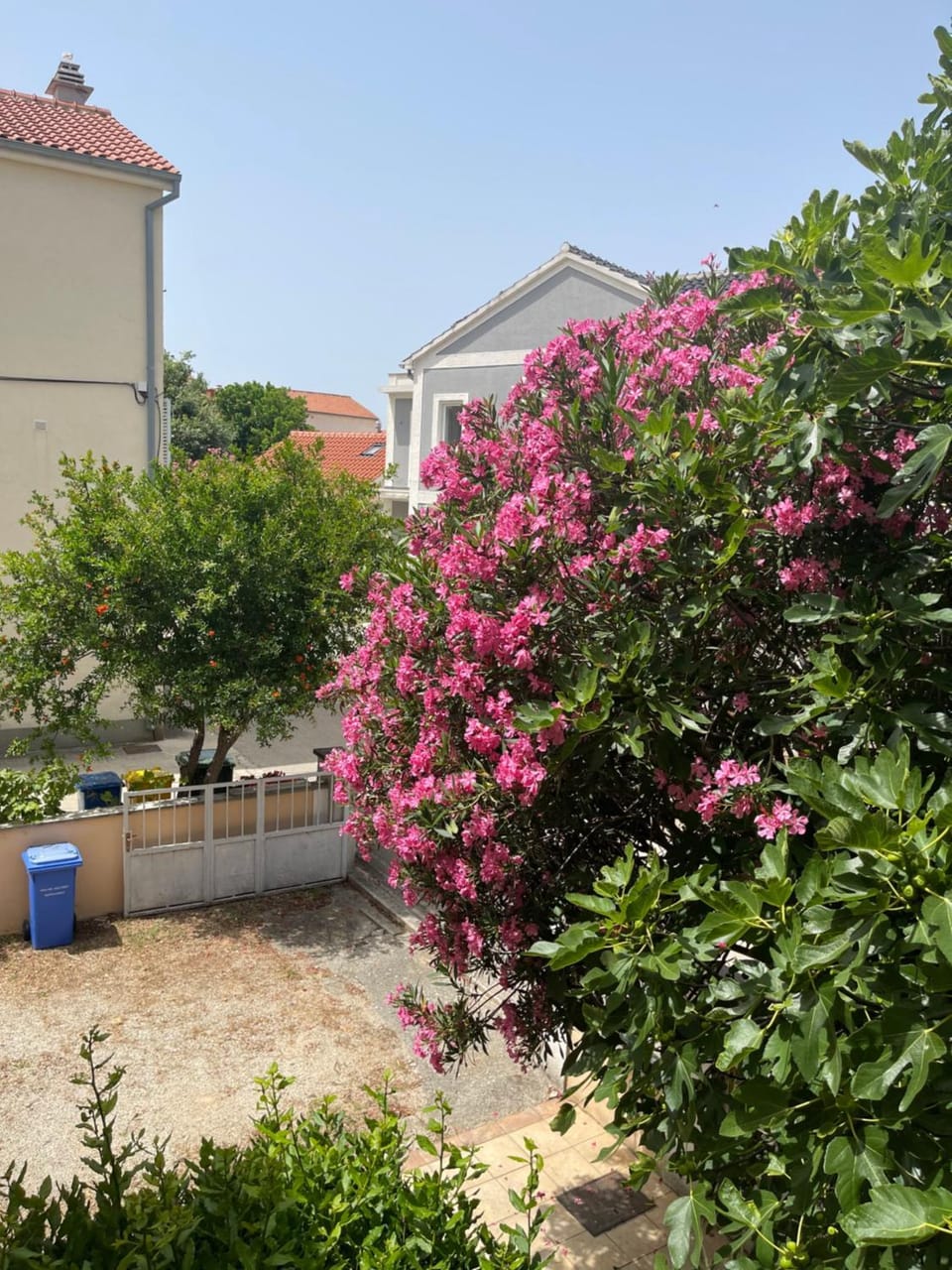 Property building, Day, Garden view