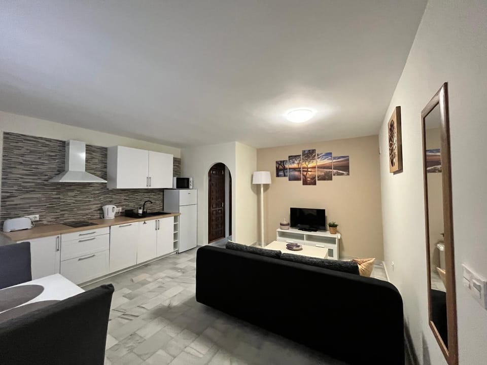 TV and multimedia, Kitchen or kitchenette, Living room, minibar, stove, toaster, kitchen