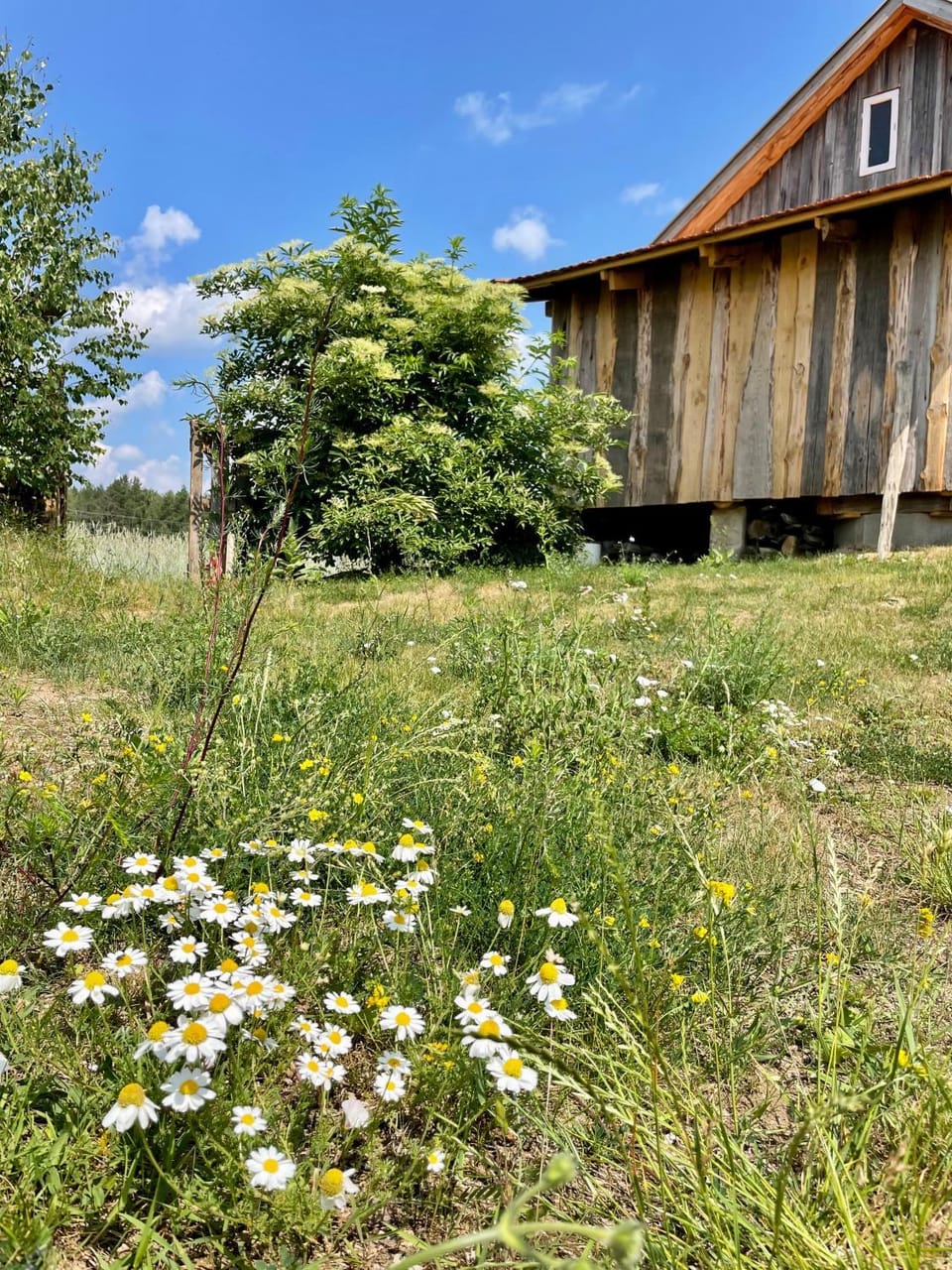 Property building, Spring, Day, Natural landscape, Garden, Garden view