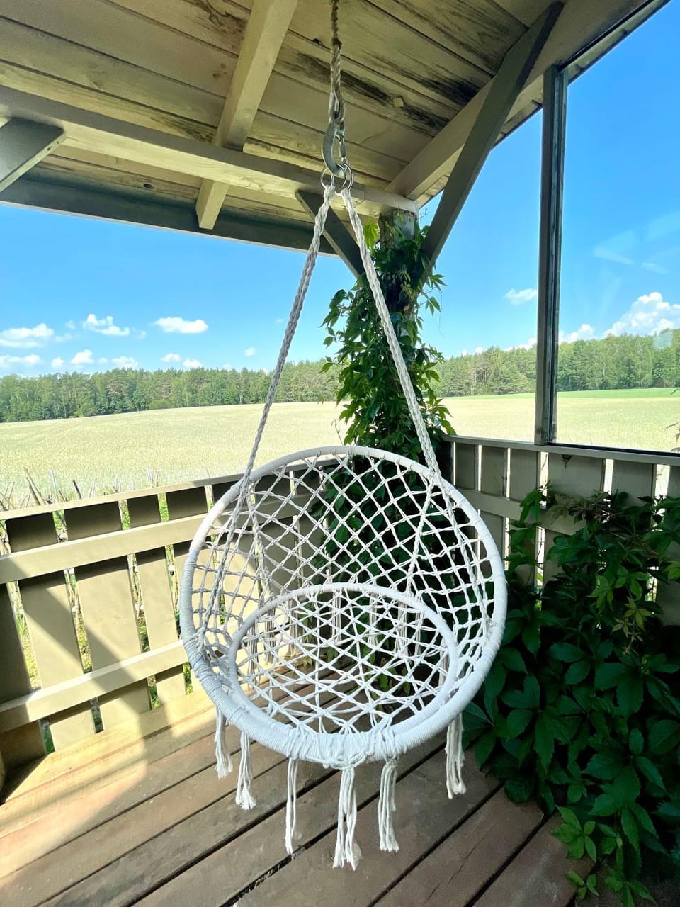 Patio, Spring, Day, Natural landscape, View (from property/room), Balcony/Terrace