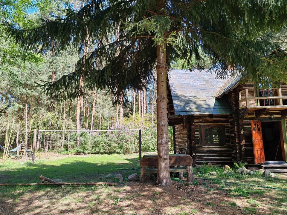 Dzwonkarnia Wyjątkowy domek w lesie House in Poland