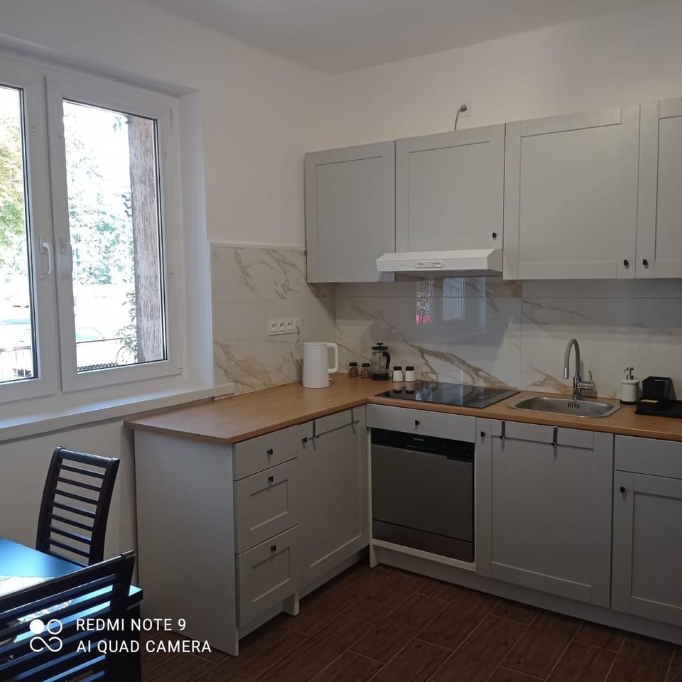 Kitchen or kitchenette, Dining area, minibar, pet friendly, stove
