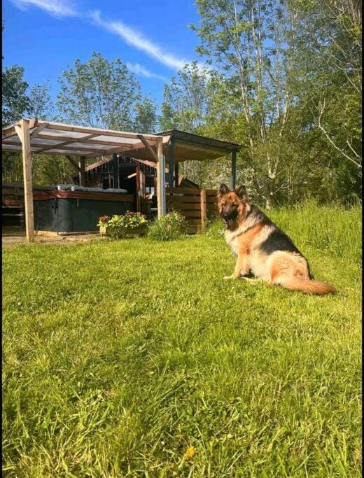 Wooden tiny house Glamping cabin with hot tub 1 Cabin in Bassetlaw District