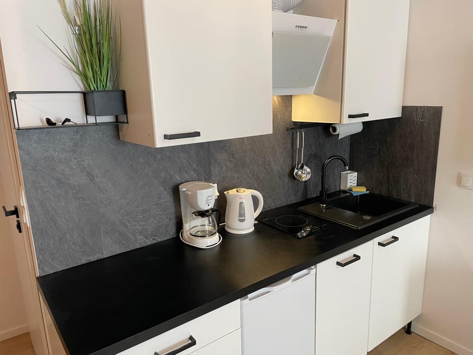Coffee/tea facilities, Kitchen or kitchenette, minibar, pet friendly, stove, toaster