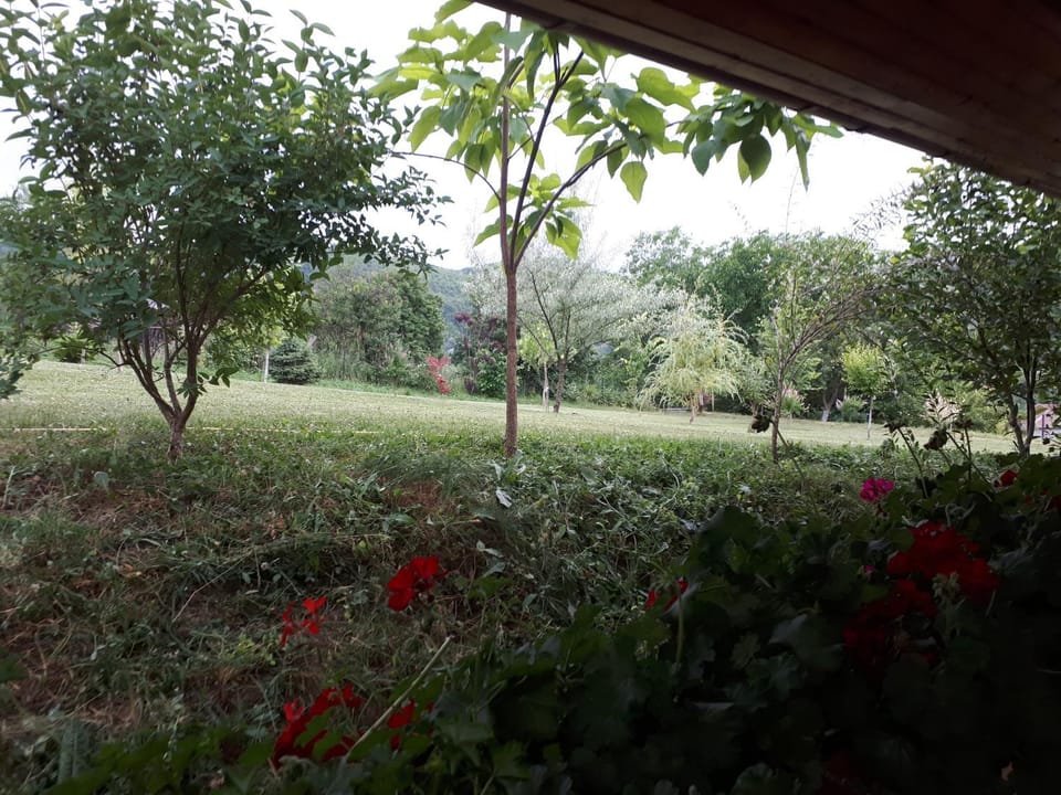 Garden, Garden view