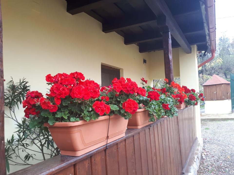 Inner courtyard view