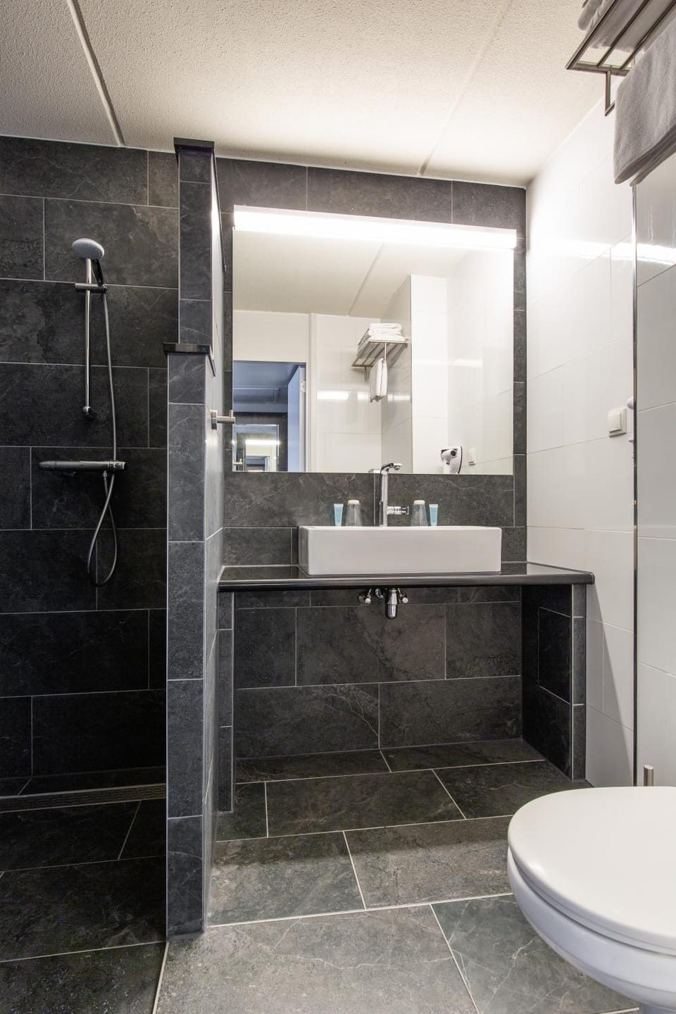 Shower, Toilet, Bathroom