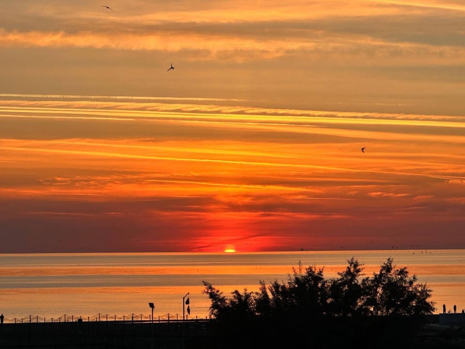 - AnnaMaria - intero appartamento vistamare - Apartment in Rimini