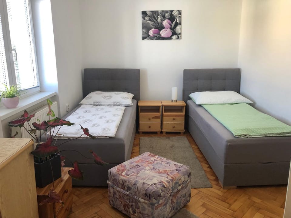 Apartmán v Týně nad Vltavou Apartment in South Bohemian Region