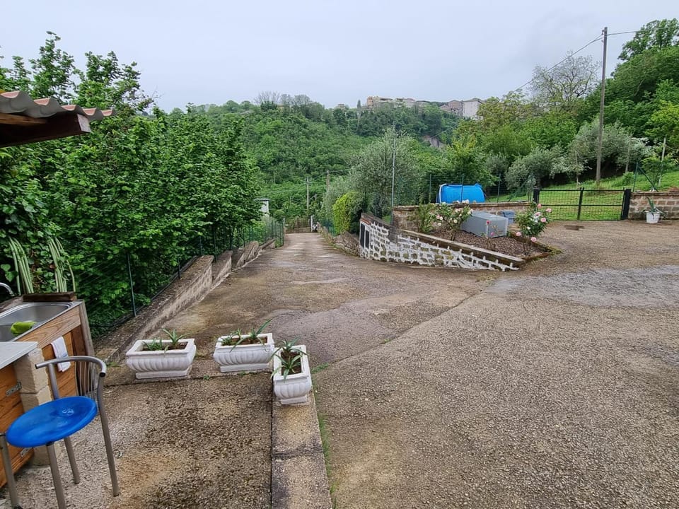 Spring, Day, Natural landscape, Garden, Garden, Garden view, Parking