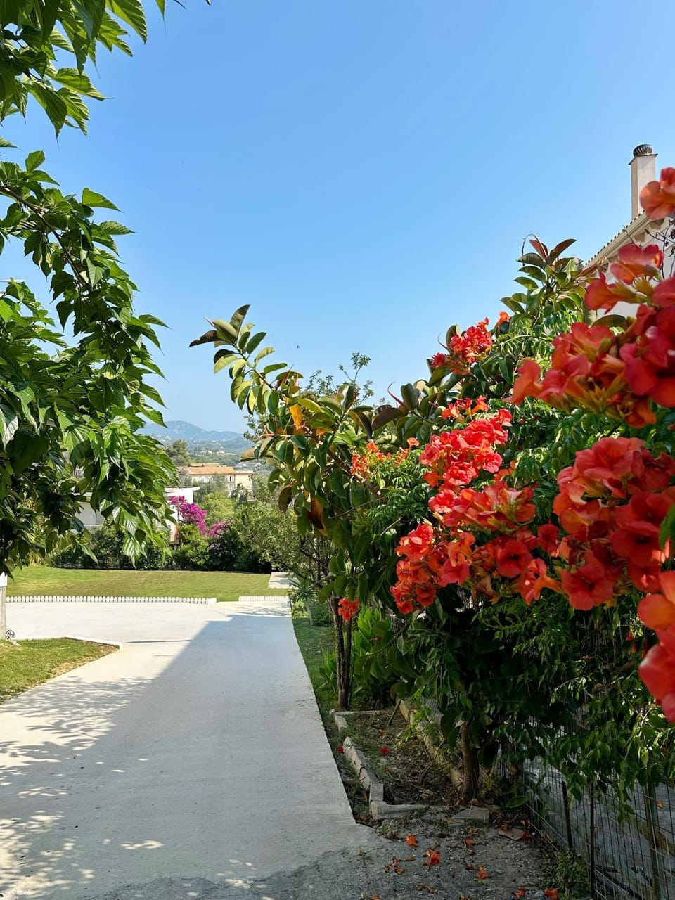 Natural landscape, Garden