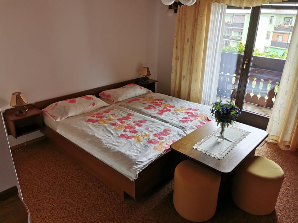 Apartment Žvab Apartment in Slovenia