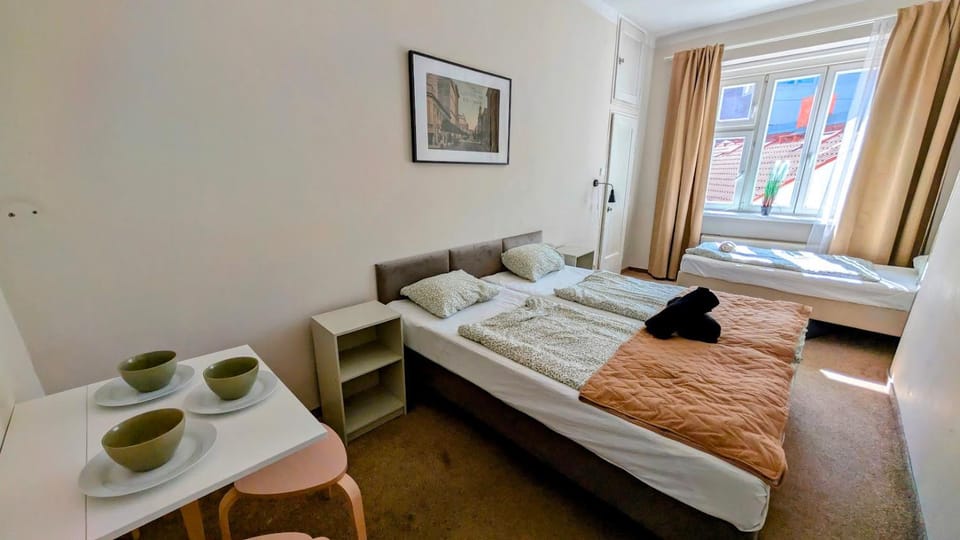 Flat in Zizkov -401- Apartment in Prague