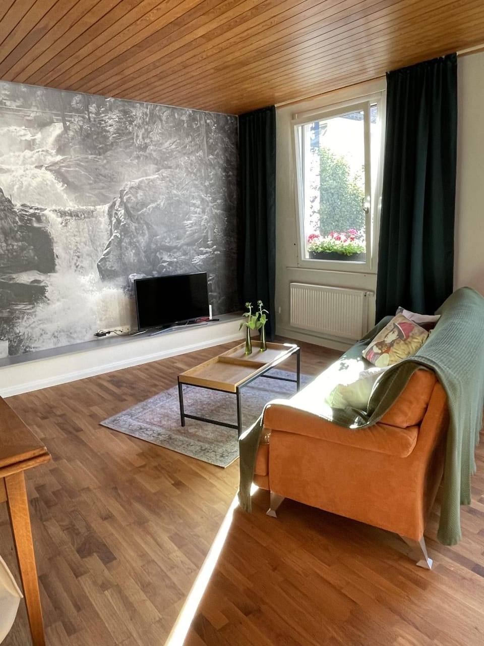 Bed, Living room, Photo of the whole room, Seating area, Bedroom