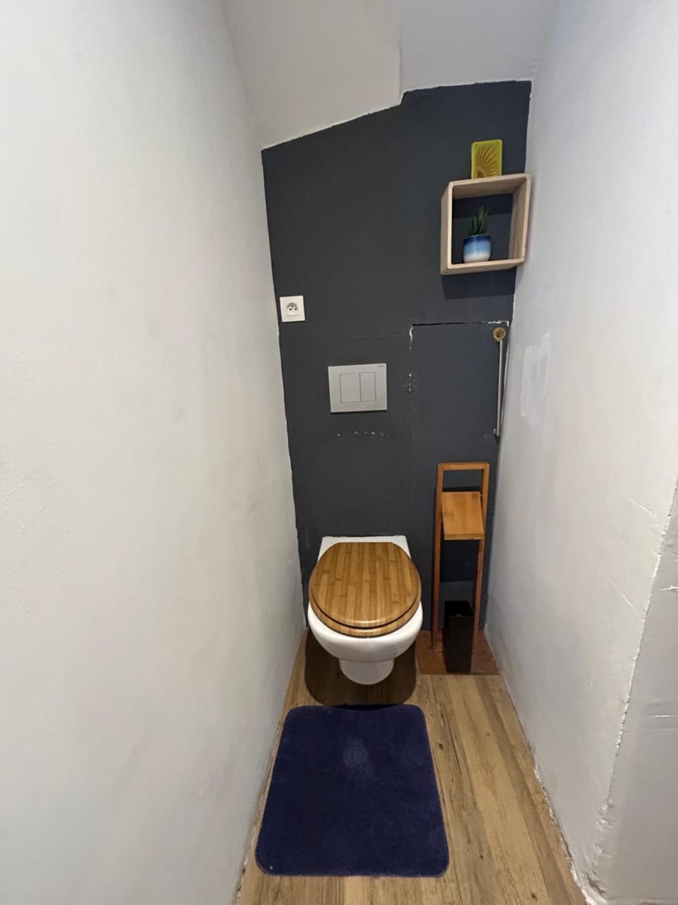 Le Rêve Divin T3 hypercentre Apartment in Lourdes