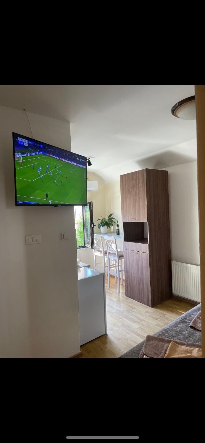 Apartman Grujicic 1 Apartment in Budva