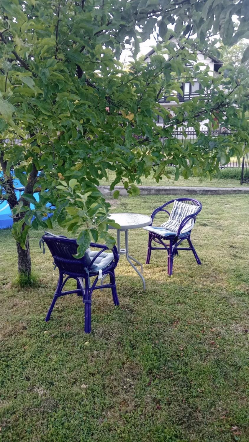 Day, Natural landscape, Garden, Garden view