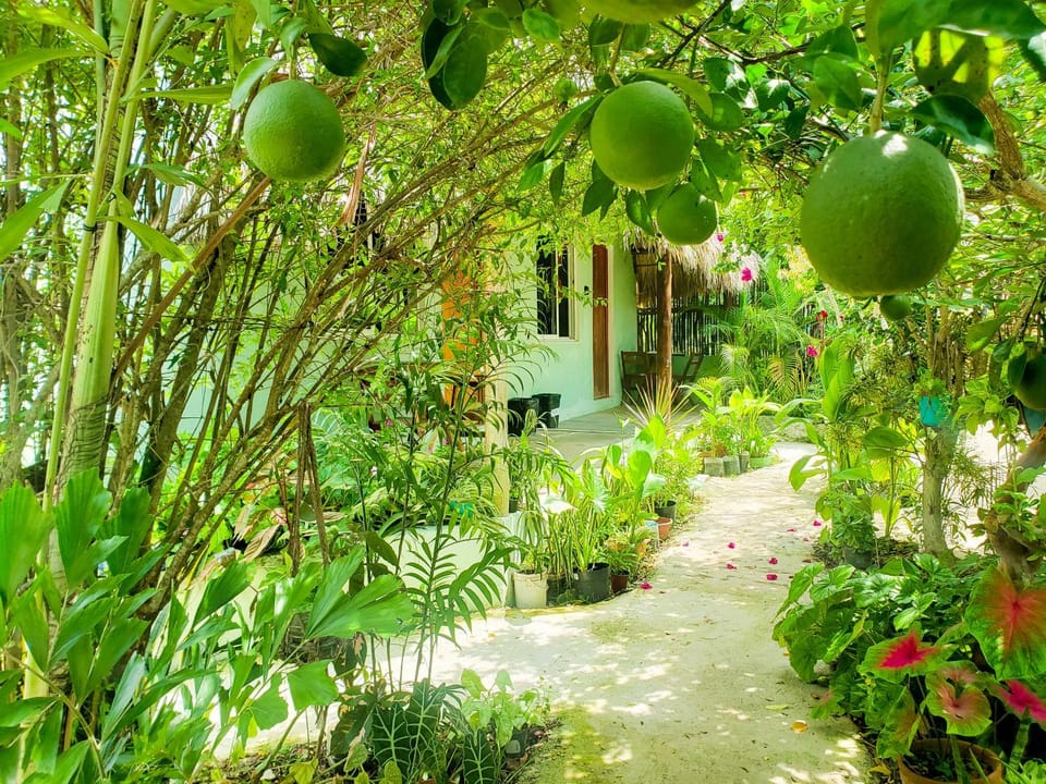 Las Palmas Bacalar Hotel in Bacalar