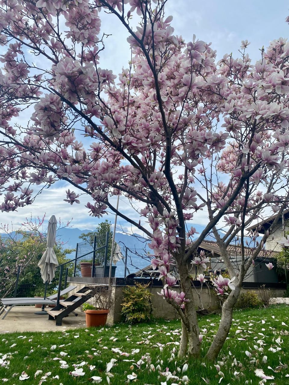 Relais PINF Bed and Breakfast in Malcesine