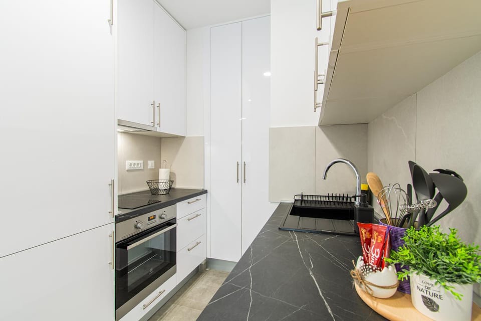 Kitchen or kitchenette, dishwasher, heating, oven, stove