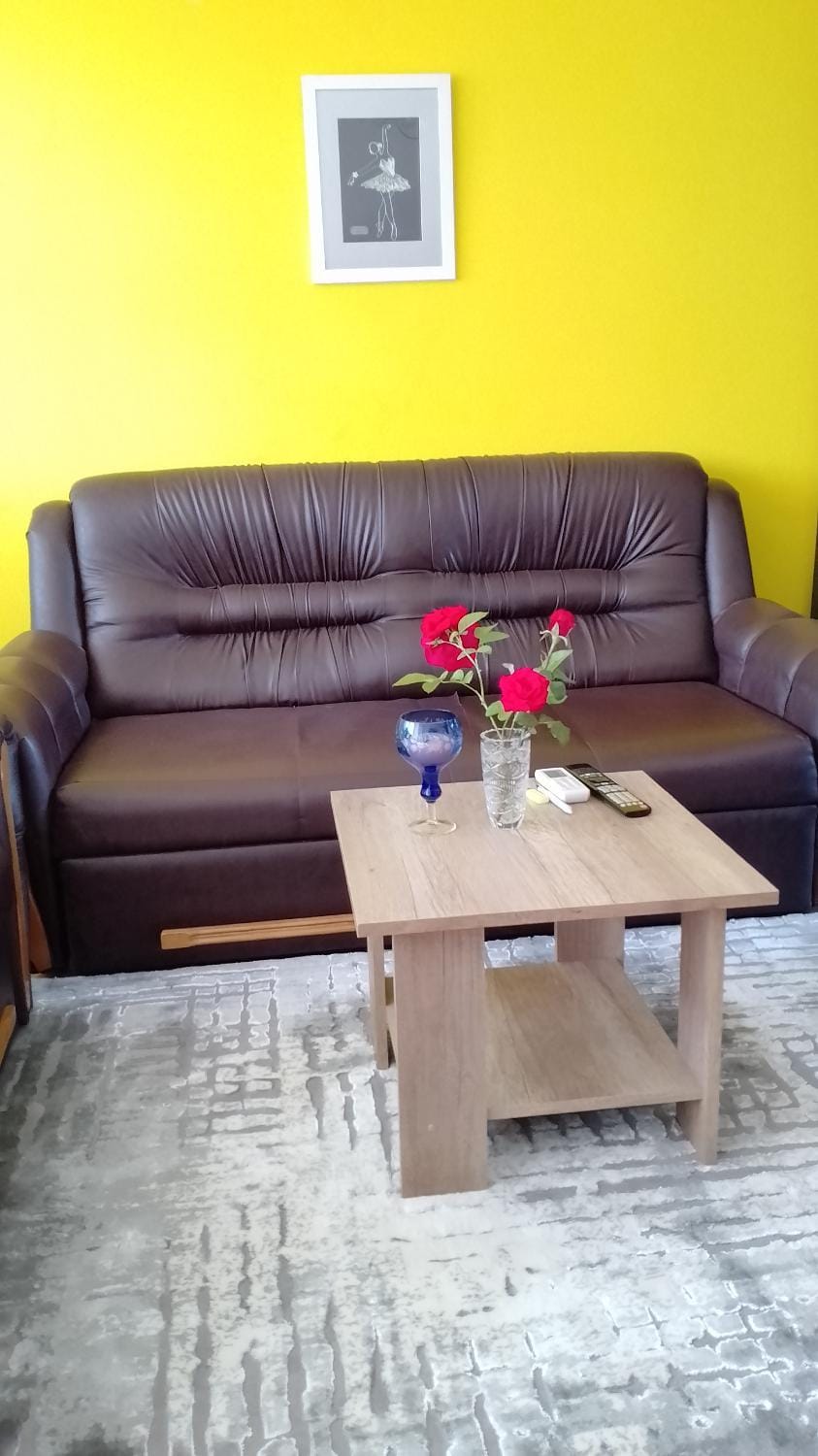 Apartments Aynur Apartment in Lika-Senj County
