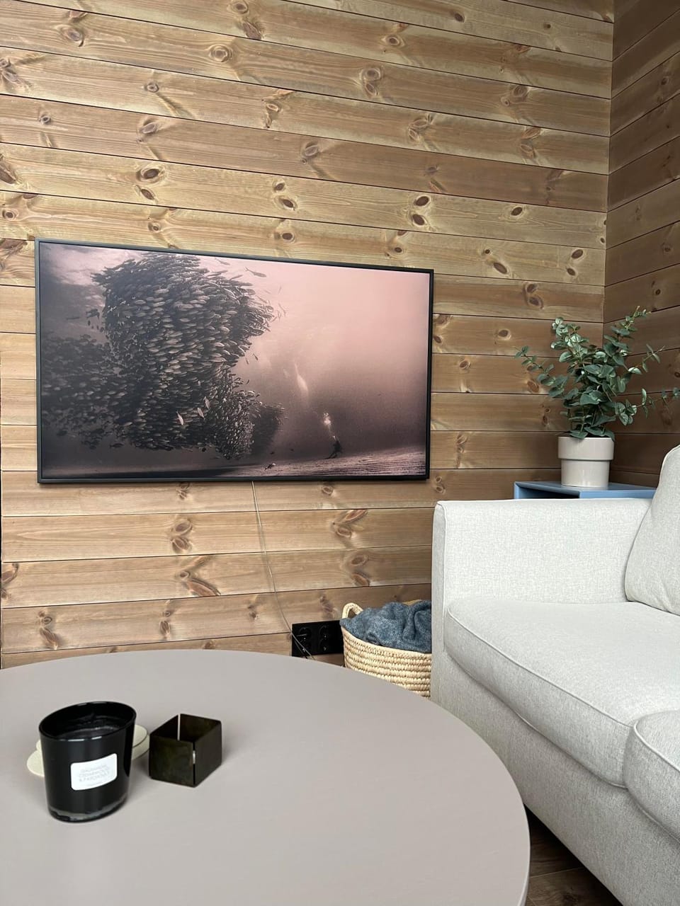 TV and multimedia, Living room