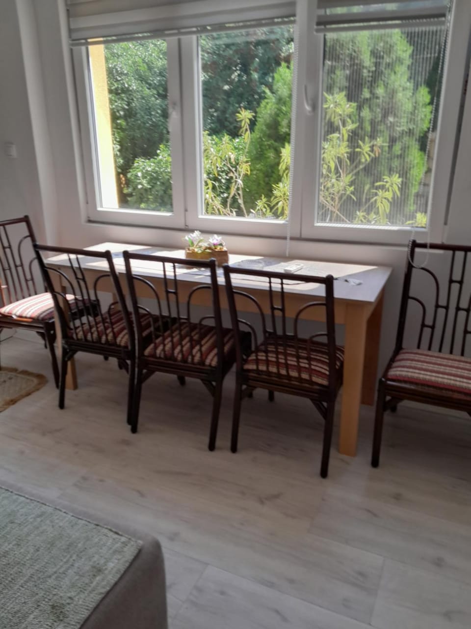 Lipov lad Apartment in Vojvodina