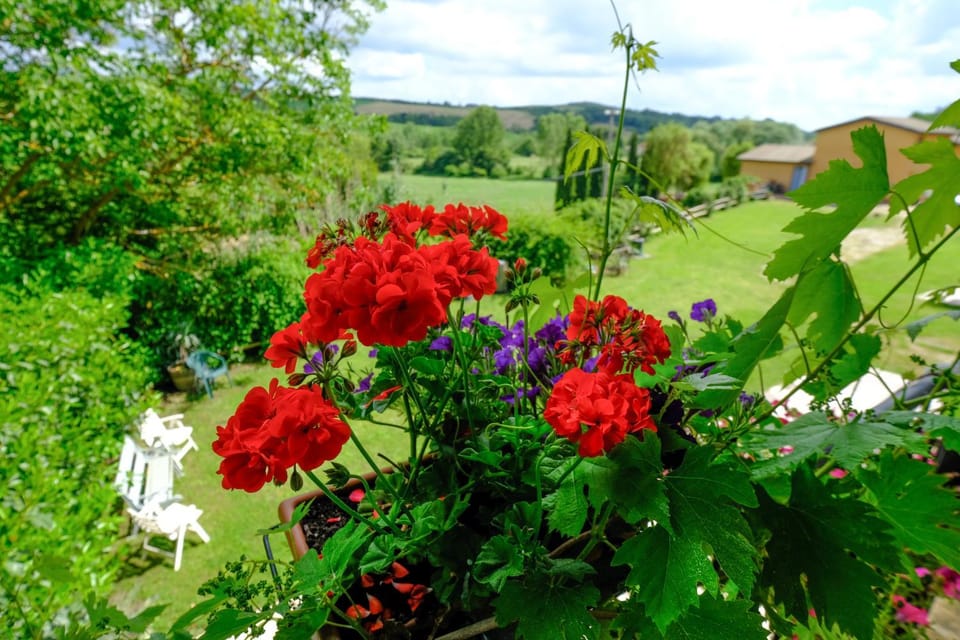 View (from property/room), Balcony/Terrace, Garden view