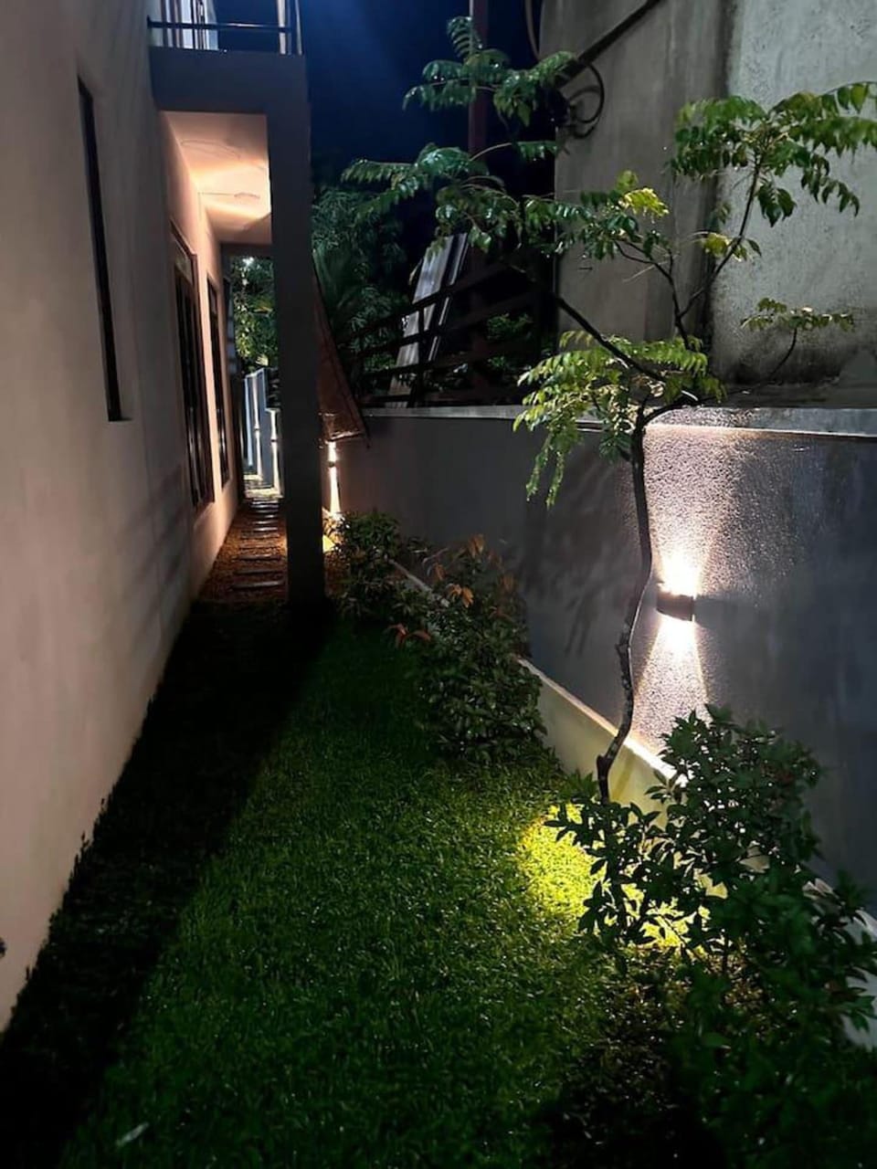 Property building, Night, Garden, Garden