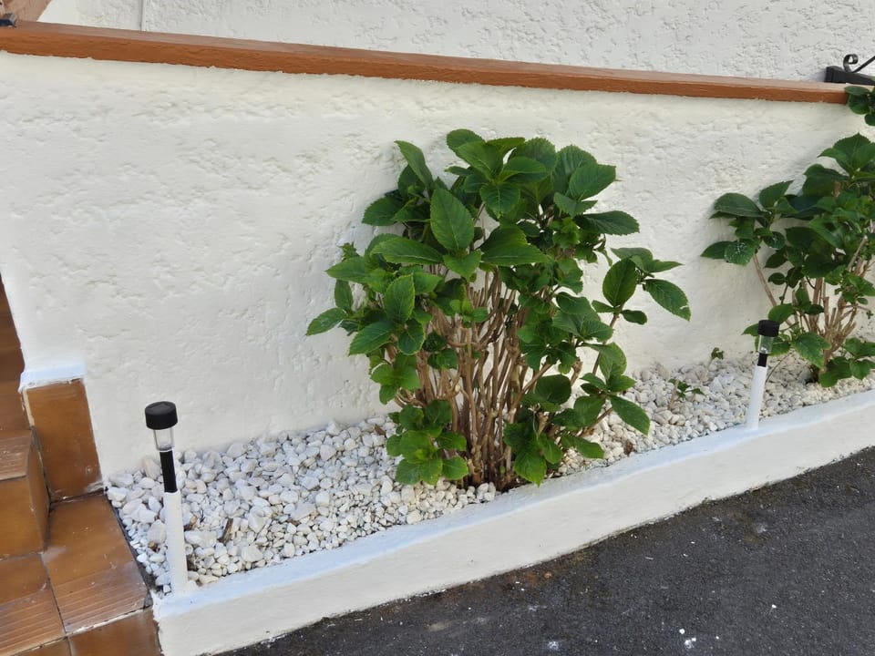 Casa Anita Apartment in Luarca