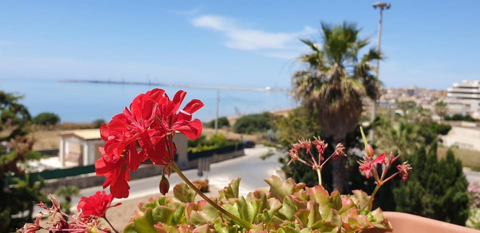 Day, City view, Sea view