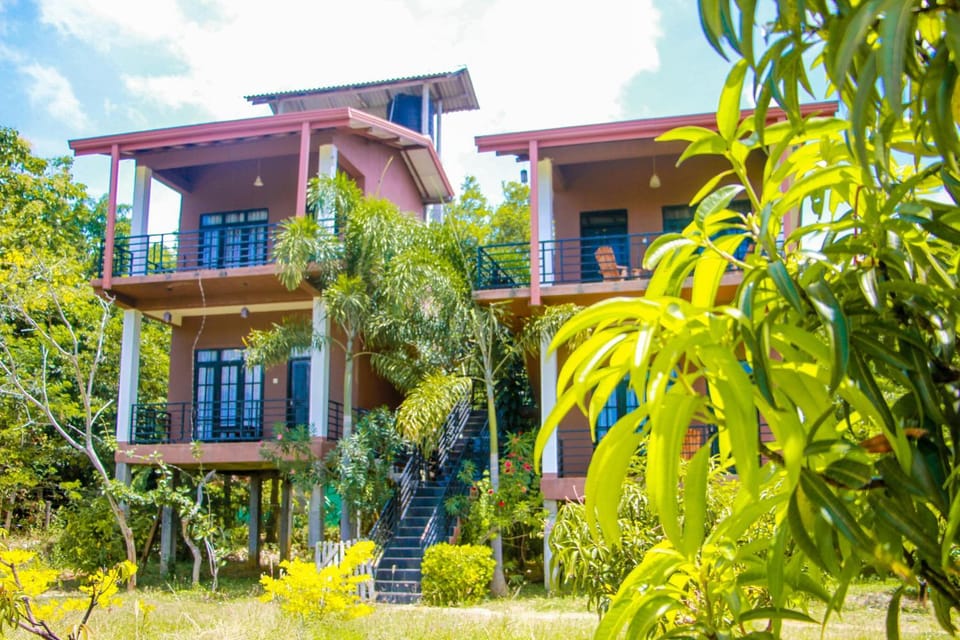 Property building, Spring, Day, Garden, Garden, Garden view