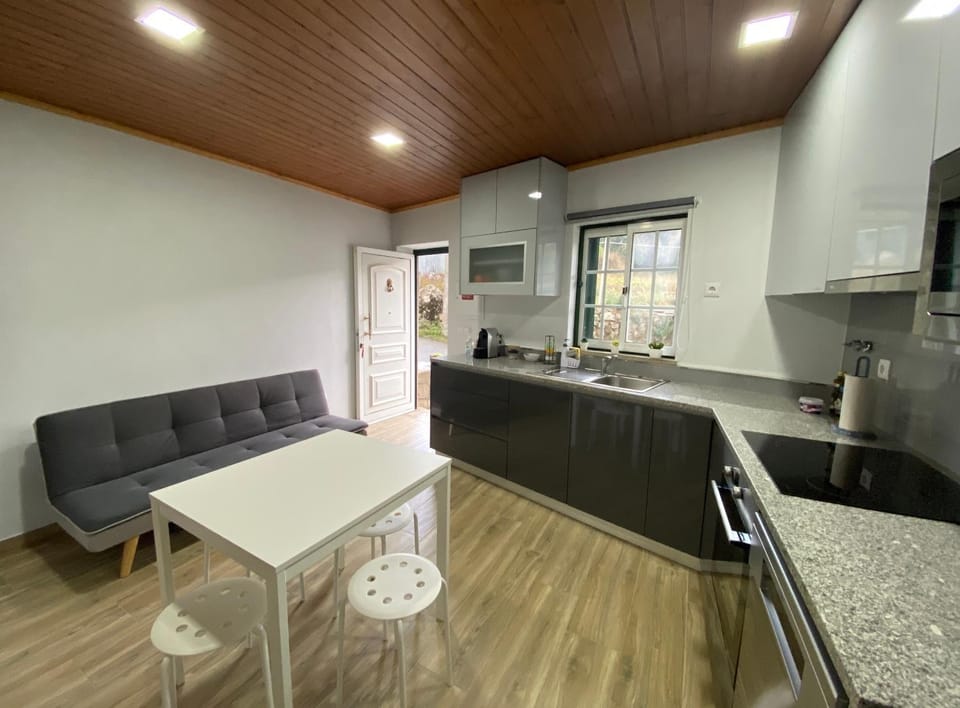 Kitchen or kitchenette, Living room, Dining area, Communal kitchen, minibar, pet friendly, stove