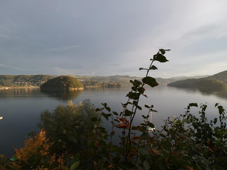 Lake view