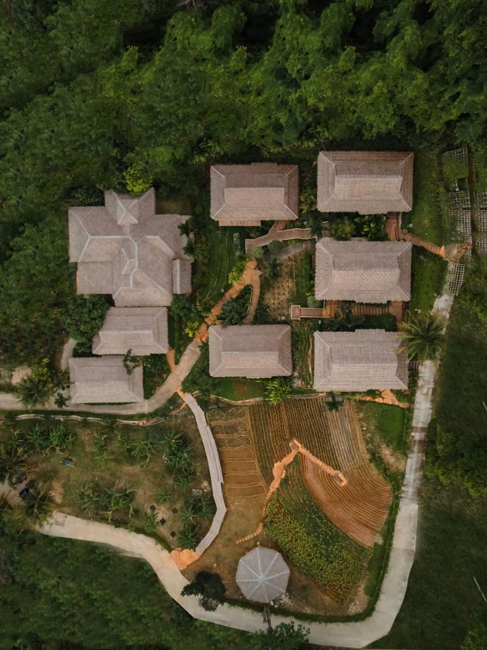 Bird's eye view