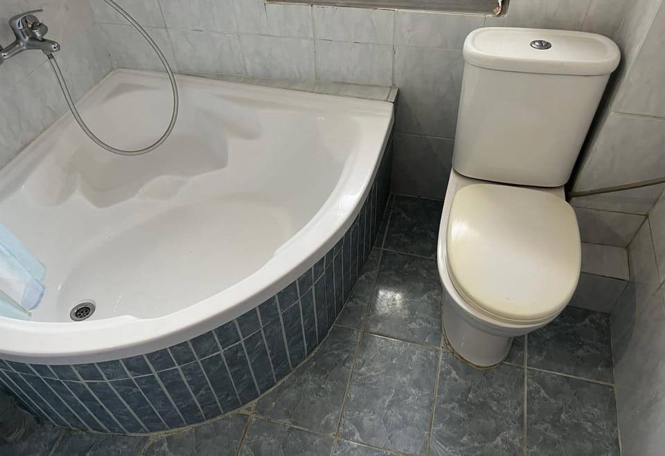 Toilet, Bathroom, Bath
