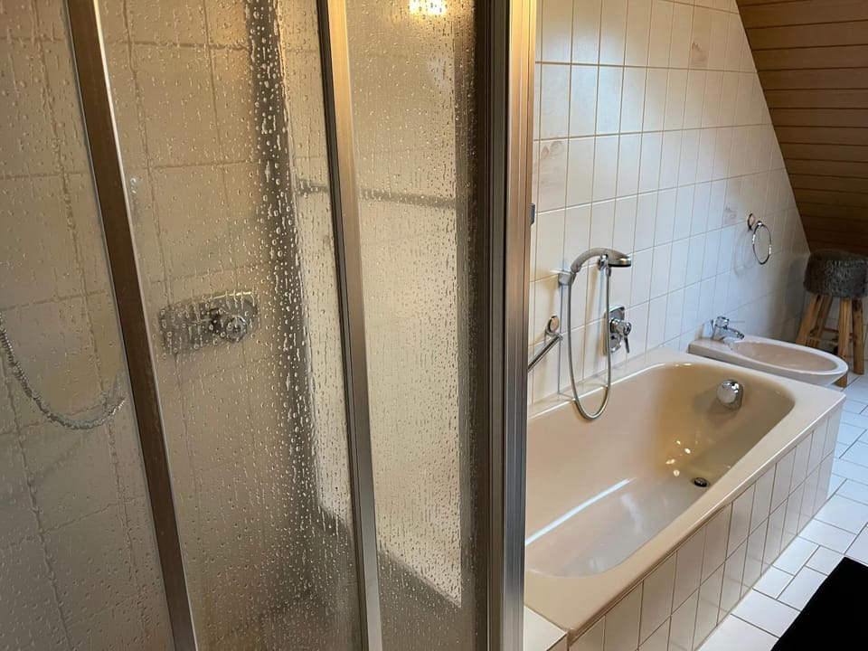 Bathroom, Living room