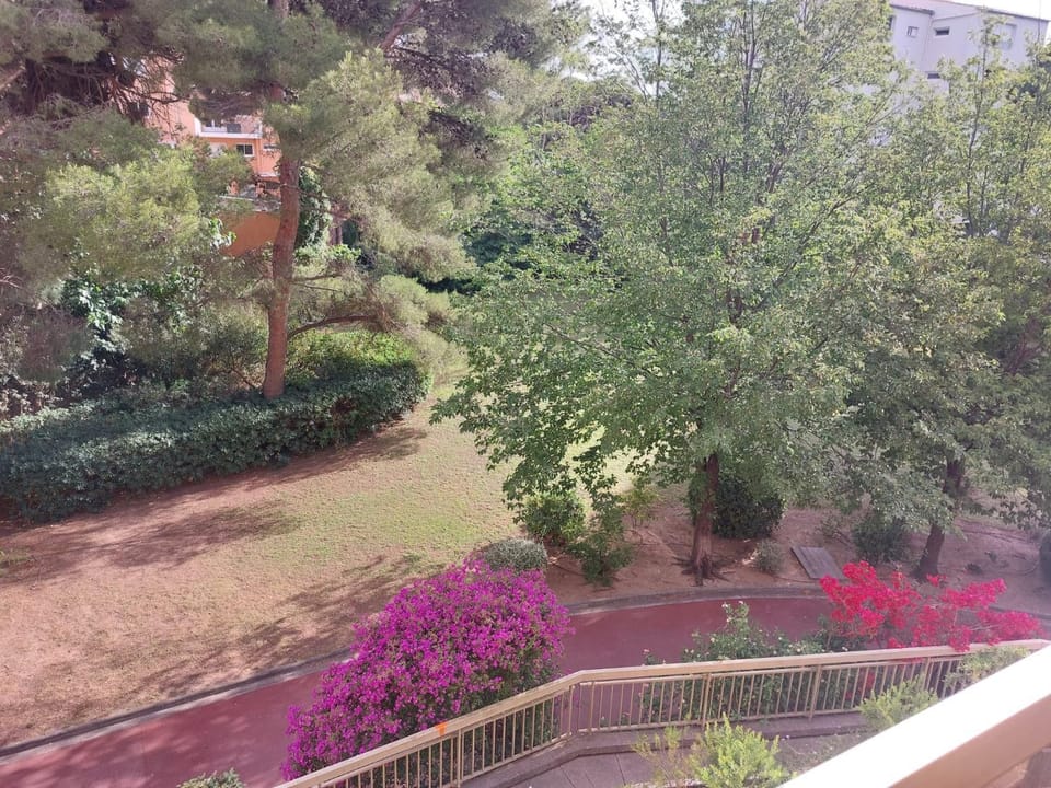 Garden view