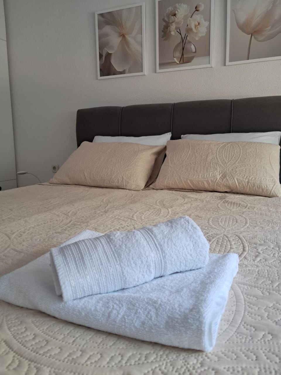 LeLand Apartment Apartment in Ohrid