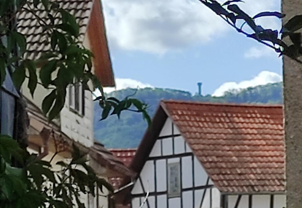 Landmark view