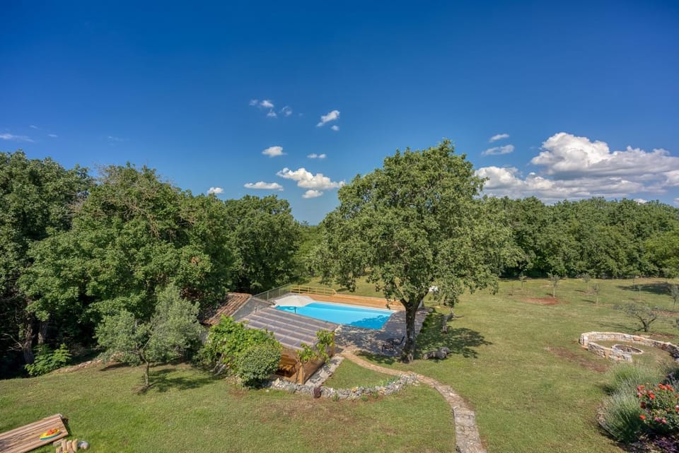 Garden, Swimming pool